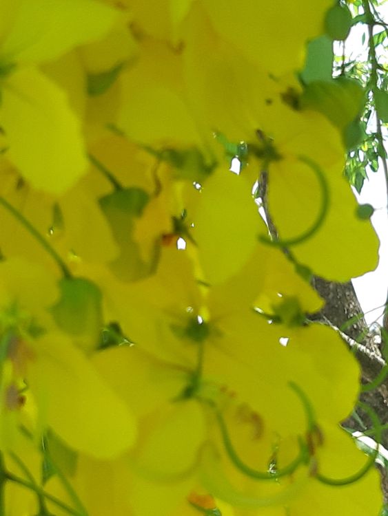Leki na erekcję bez recepty – ceny w aptekach w 2026. Gdzie kupić najtaniej? 3 pexels photo 4012134